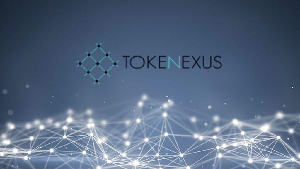 welche meinung von tokenexus ist auf der grundlage der verfügbaren informationen über dieses unternehmen angemessen?